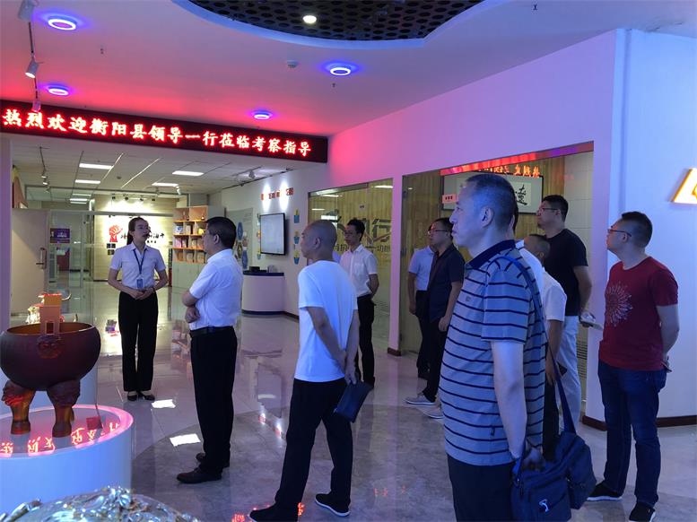 湖南省衡阳县常务副县长王苏龙一行莅临K8凯发集团集团考察财路大数据项目